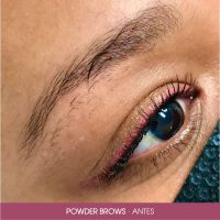 5. powderbrows antes